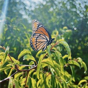 Meet your Posher, JJ